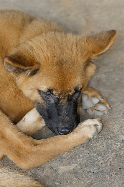 Famille et amis NOV12-004